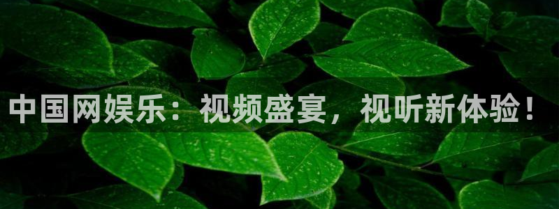 长运娱乐：中国网娱乐：视频盛宴，视听新体验！