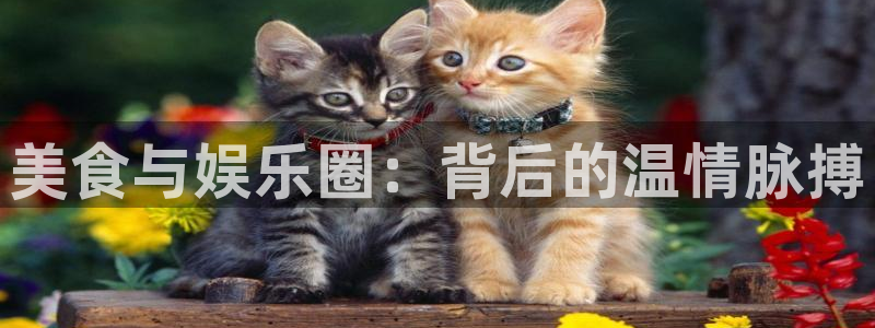 长运娱乐平台注册：美食与娱乐圈：背后的温情脉搏