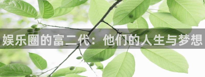长运娱乐平台测速登录：娱乐圈的富二代：他们的人生与梦想