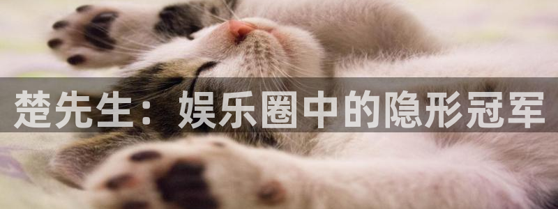 长运娱乐平台登录入口：楚先生：娱乐圈中的隐形冠军