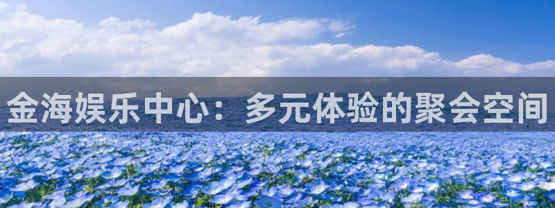长运娱乐官网：金海娱乐中心：多元体验的聚会空间