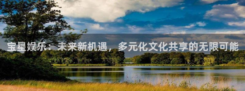 长运娱乐官网：宝星娱乐：未来新机遇，多元化文化共享的无限可能