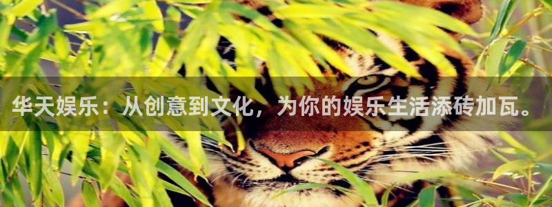长运娱乐平台测速登录：华天娱乐：从创意到文化，为你的娱乐生活添砖加瓦。