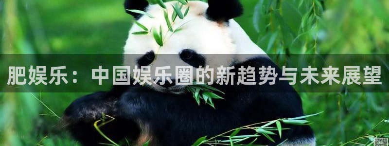长运娱乐：肥娱乐：中国娱乐圈的新趋势与未来展望